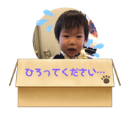 382030629