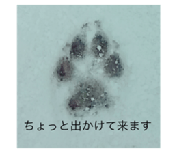 382031253