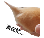 382051769