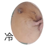 382051772