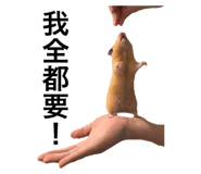 382051777