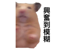 382051779