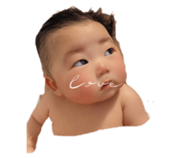 382108016