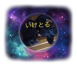 382190754