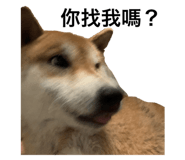 382222374