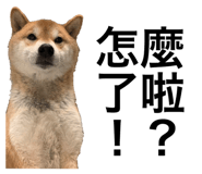 382222377