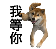 382222379
