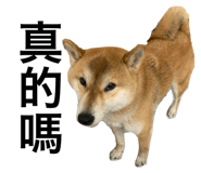 382222380