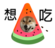 382222381