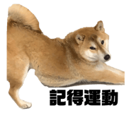 382222382