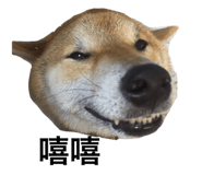 382222385