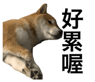 382222388