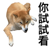 382222389