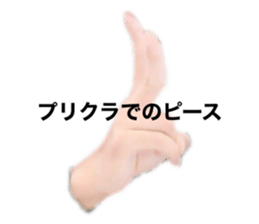 382233498