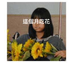 382239940