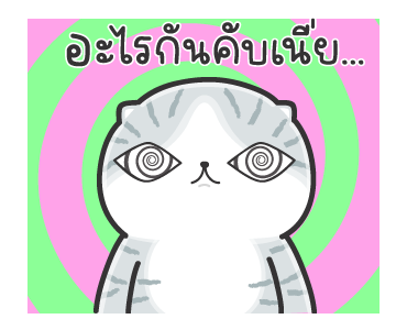 มันแกว มันคือแมวปั่นป่วนดุ๊กดิ๊ก รูปที่ 11