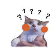 382299551