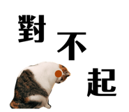 382299557