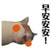 382299558