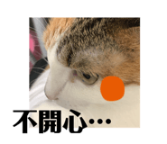382299561