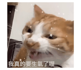 382308526