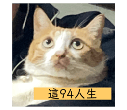 382308533