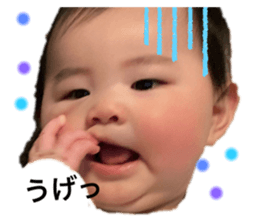 382336462