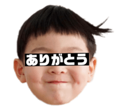 382395048