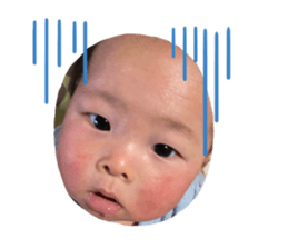 382398620