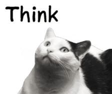 382484548