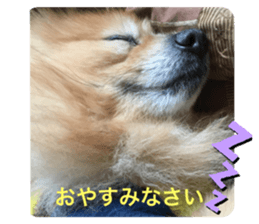382494170