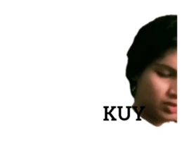 382630161