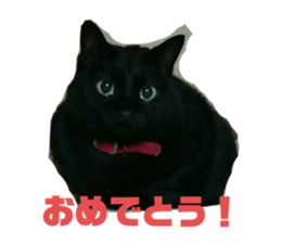 382645598