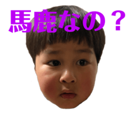 382651516