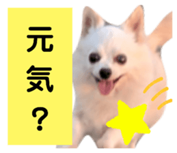 382656132