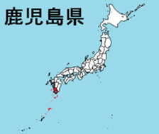382680157
