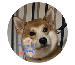 382692763