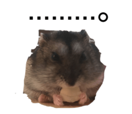 382727755