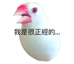 382734862