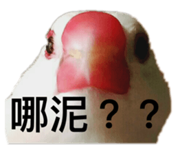 382734865