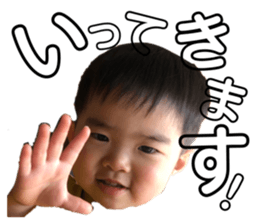382736310
