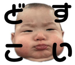 382736313