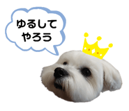 382737098
