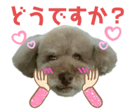 382737113