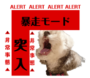 382737129