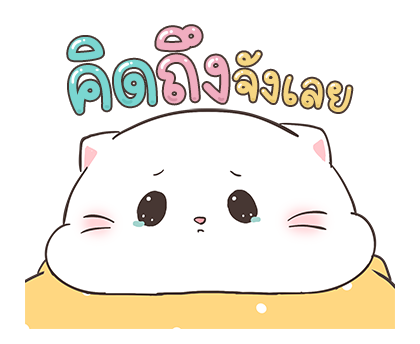 เบบี้แคท ป๊อปอัพ 4 รูปที่ 12