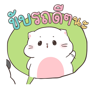 เบบี้แคท ป๊อปอัพ 4 รูปที่ 14