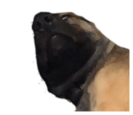 382763711