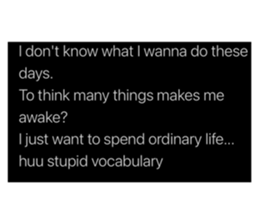 382776695