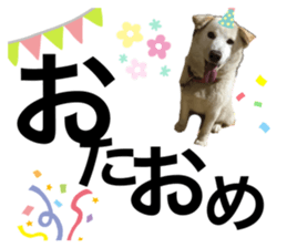 382813420